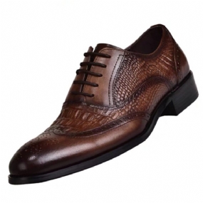 2023 Brogue Shoes Oxford Pánske Staré Retro Šaty Topánky Krokodílí Vzor Veľká Veľ